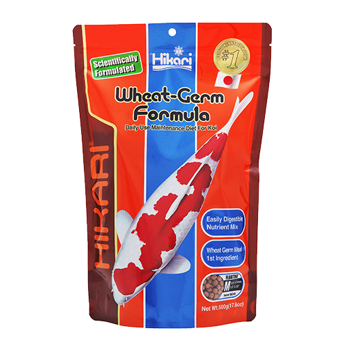 Hikari Wheat-Germ Formula 17.6 oz cool water koi food