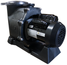 W Lim Dragon I external pond pump