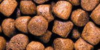 Saki-Hikari Growth floating LARGE pellet close-up (7.5-8.5 mm)