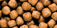 Saki-Hikari Growth floating MEDIUM pellet close-up (5.0-5.5 mm)