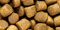 Saki-Hikari Growth sinking MEDIUM pellet close-up (5.0-5.5 mm)