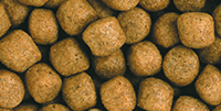 Saki-Hikari Balance floating MEDIUM pellet close-up (5.0-5.5 mm)