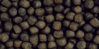 Saki-Hikari Color Enhancing MEDIUM pellet close-up (5.0-5.5 mm)