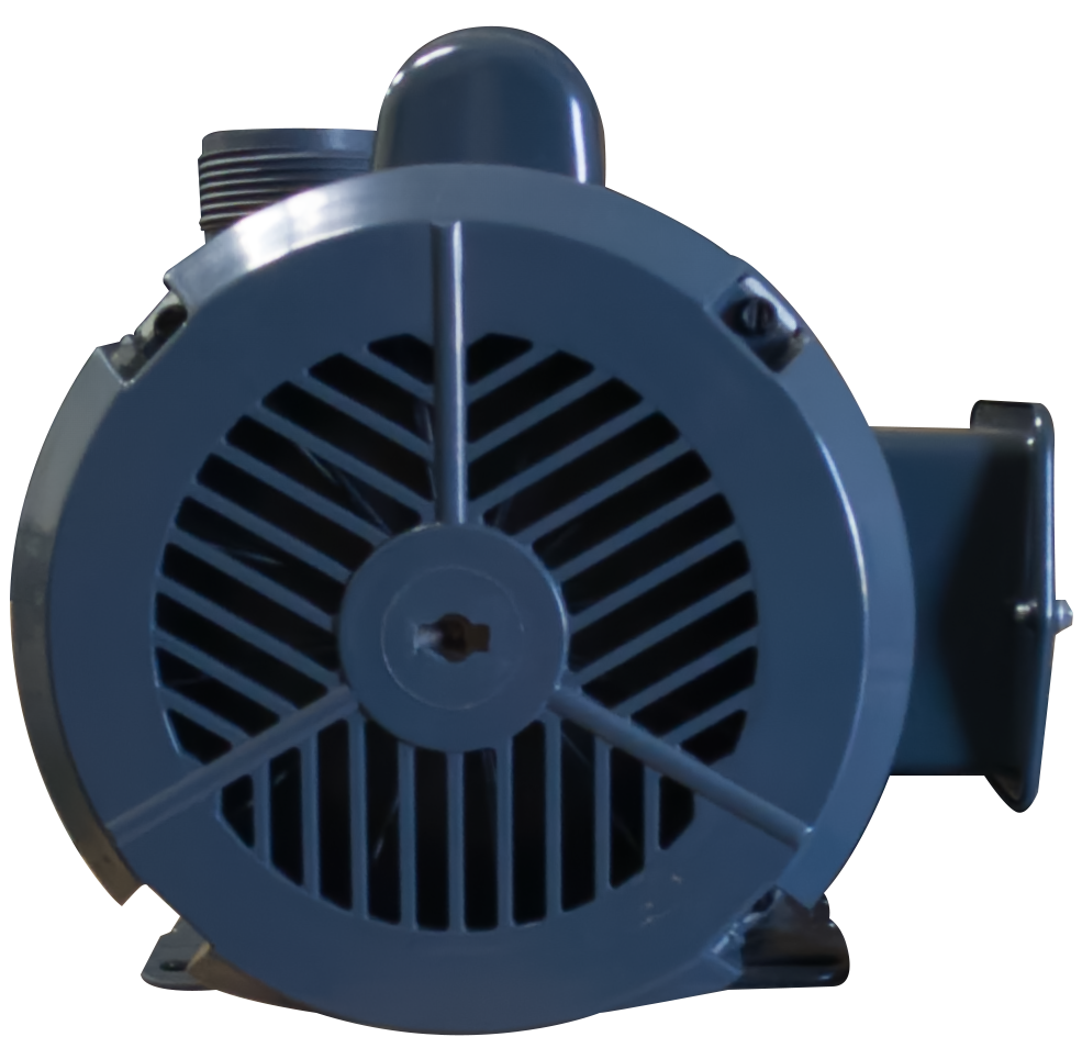 W Lim Wave I pump - detail