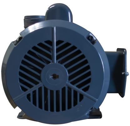 W Lim Wave I pump - detail